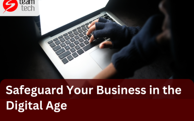 Safeguard Your Business in the Digital Age